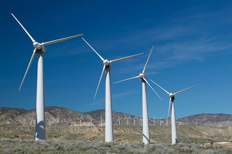 wind mill farm