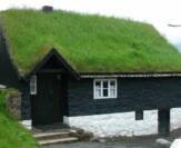 Green Roof 