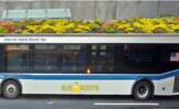 green roof bus